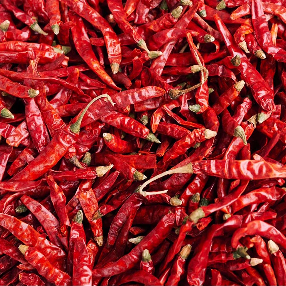 Erjingtiao Chili getrocknet - Fly By Jing